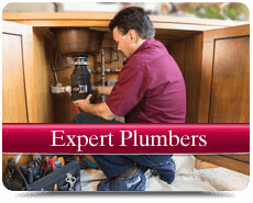 Plumbing Experts in Virginia