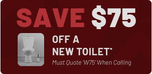 New Toilet Discount in Virginia*